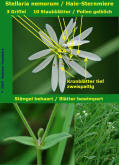 Stellaria nemorum / Hain-Sternmiere / Wald-Sternmiere / Caryophyllaceae / Nelkengewchse (Bestimmungshilfe)